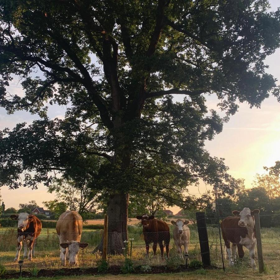 مبيت وإفطار Thurlton Church Farm المظهر الخارجي الصورة